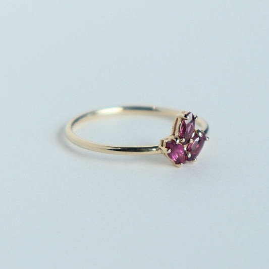 HA Ring サンツブ/Rhodolite Garnet