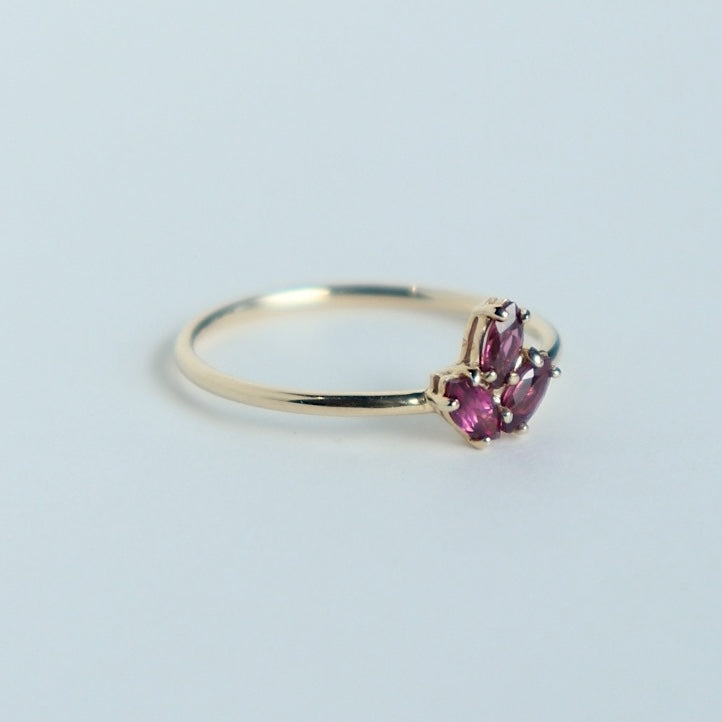 HA Ring サンツブ/Rhodolite Garnet