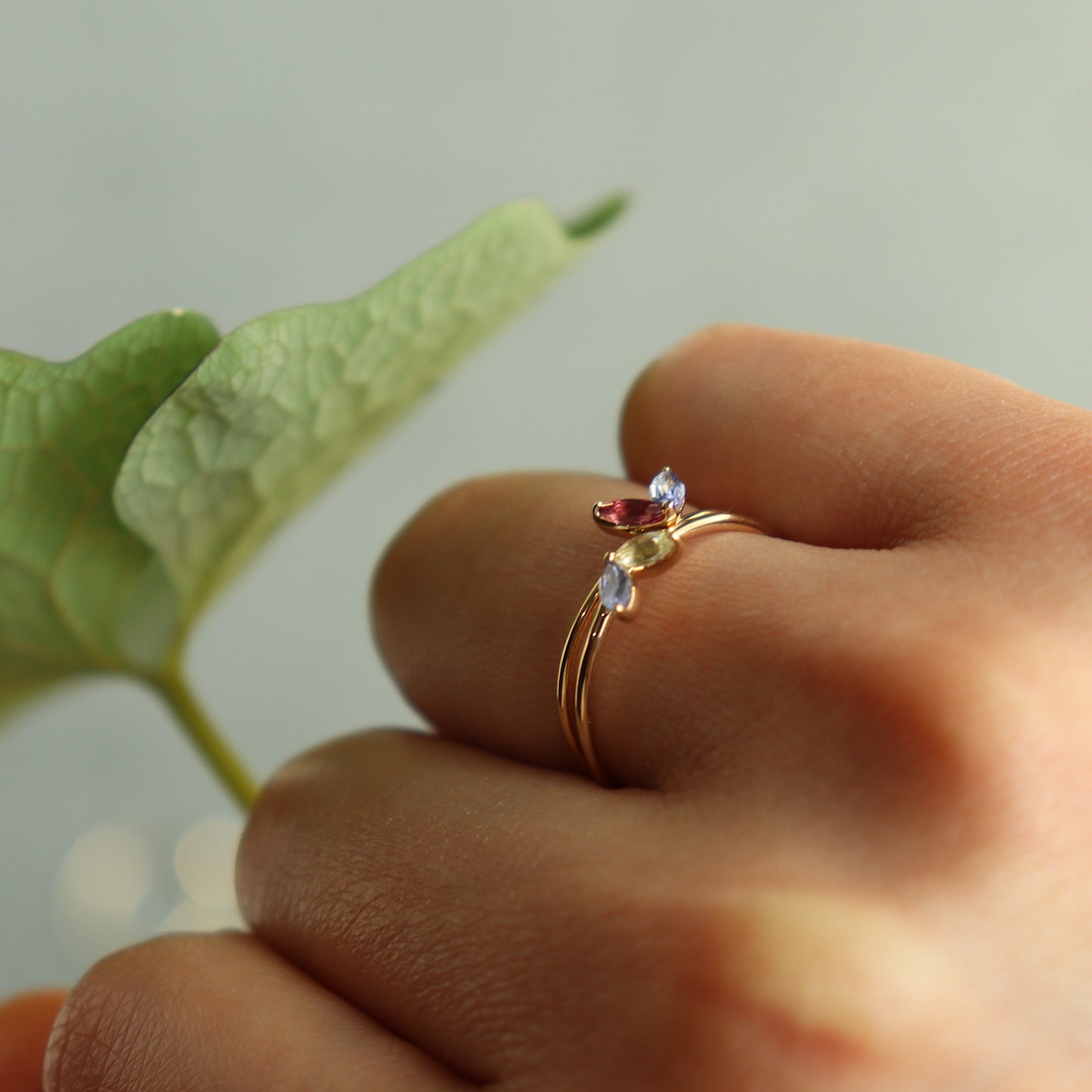 HA Ring フタツブLR n/Pink Tourmaline , Tanzanite