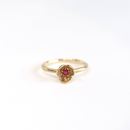 MIZUKI Ring / Ruby