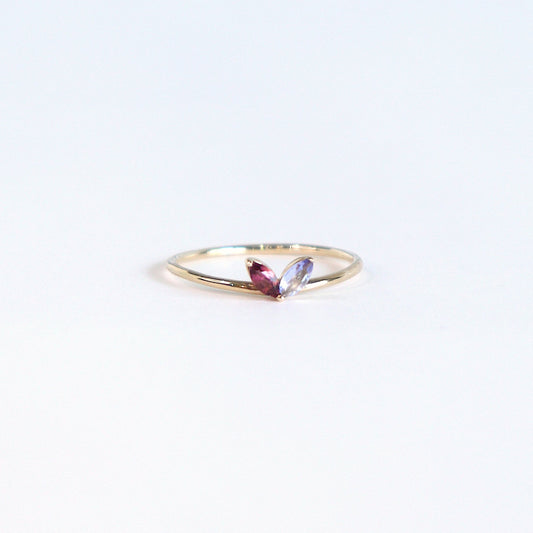 HA Ring フタツブLR n/Pink Tourmaline , Tanzanite