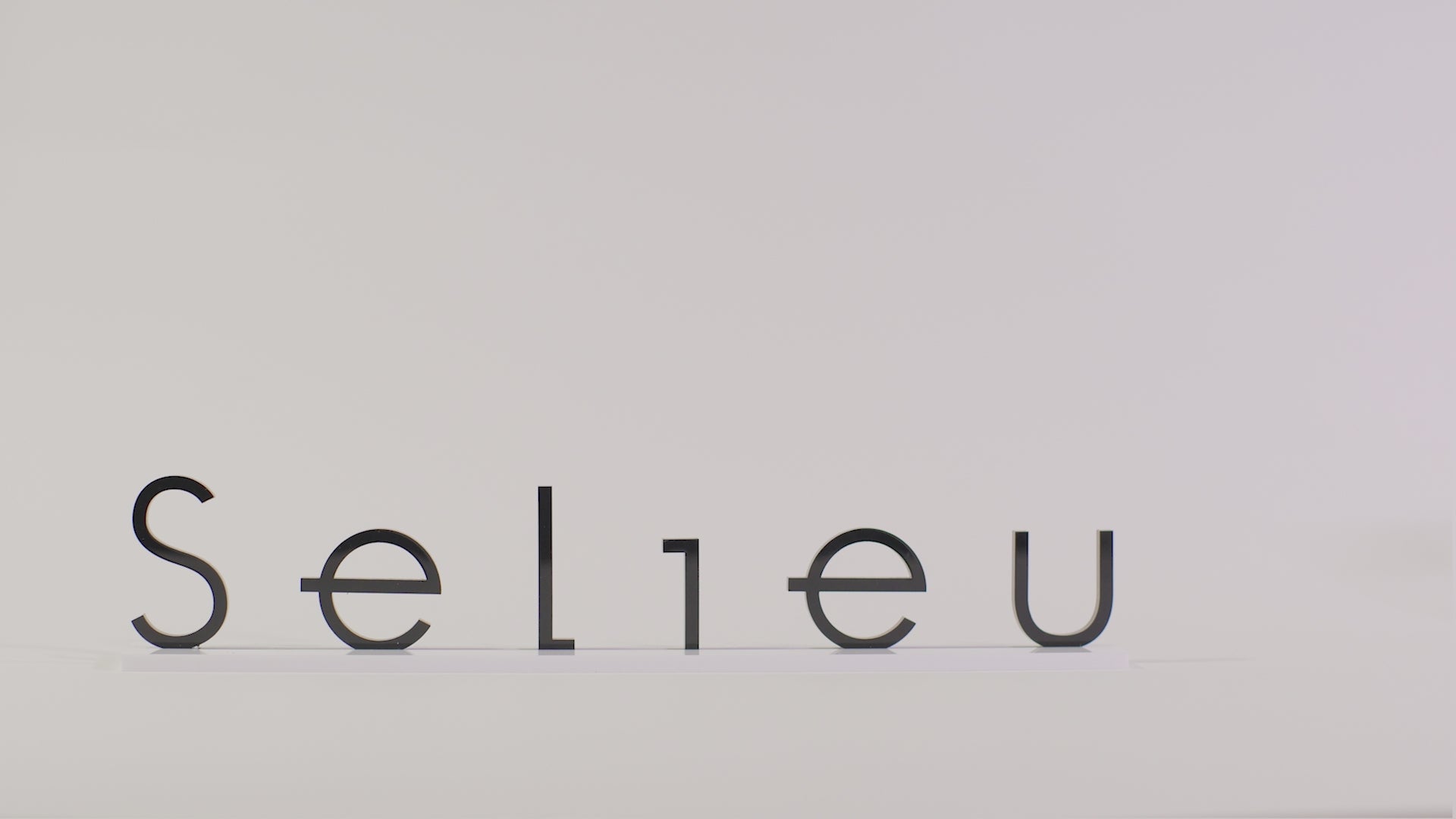Selieu – tomoko taguchi / Selieu