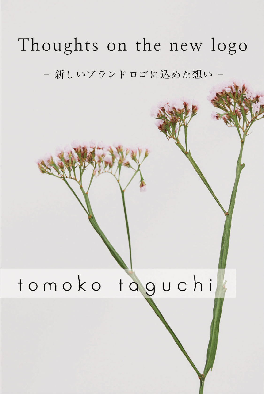 tomoko taguchi / Selieu