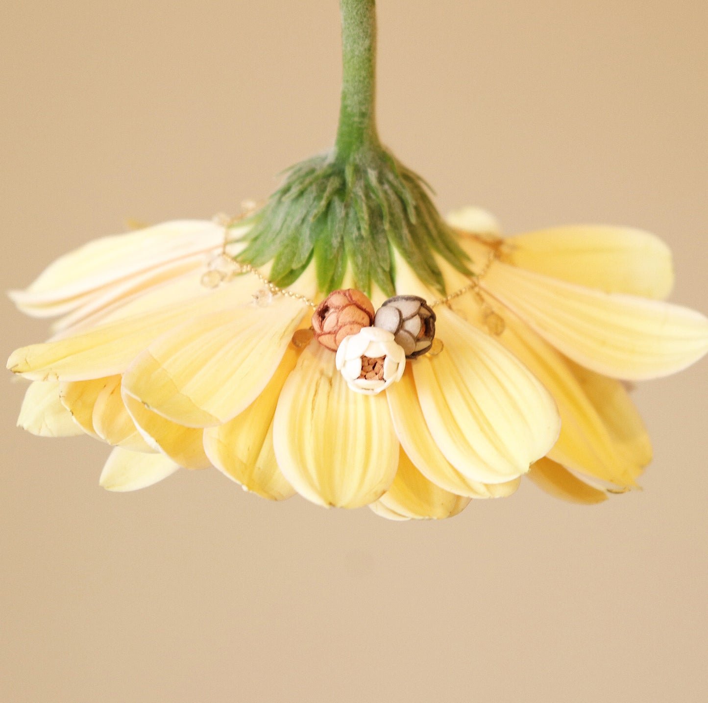 Tsuyu Bracelet/2Colors